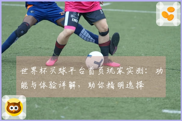世界杯买球平台首页玩家实测：功能与体验详解，助你精明选择