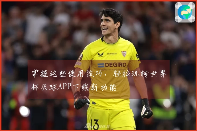 掌握这些使用技巧，轻松玩转世界杯买球APP下载新功能